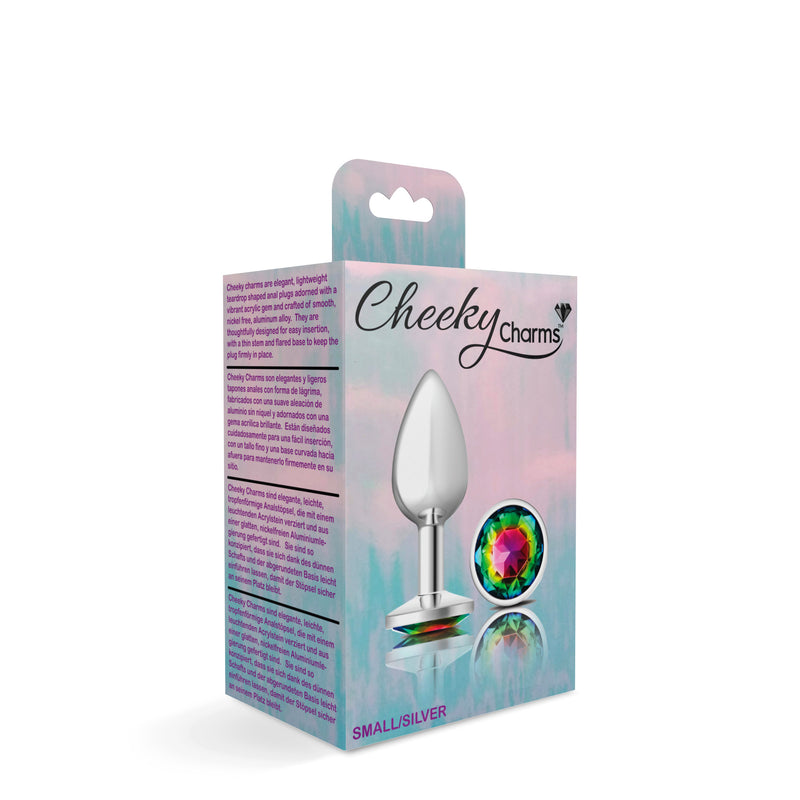 Cheeky Charms-Silver Metal Butt Plug- Round-Rainbow-Small-Anal Toys & Stimulators-OUR LAVENDER