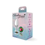 Cheeky Charms-Silver Metal Butt Plug- Round-Rainbow-Small-Anal Toys & Stimulators-OUR LAVENDER