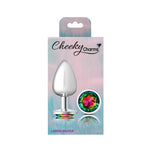Cheeky Charms-Silver Metal Butt Plug- Round-Rainbow-Large-Anal Toys & Stimulators-OUR LAVENDER